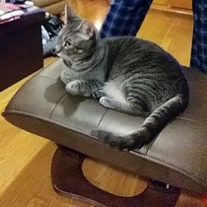 Meet your Posher, Mary